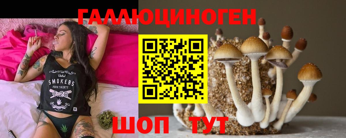 Галлюциногенные грибы мицелий Тельмана