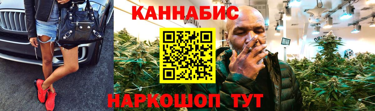 Бошки марихуана Amnesia Тельмана